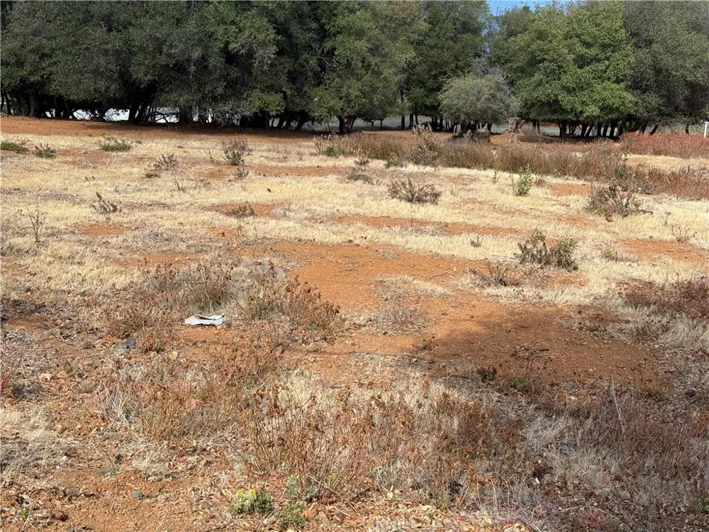 3337 Riviera West Kelseyville, CA 95451