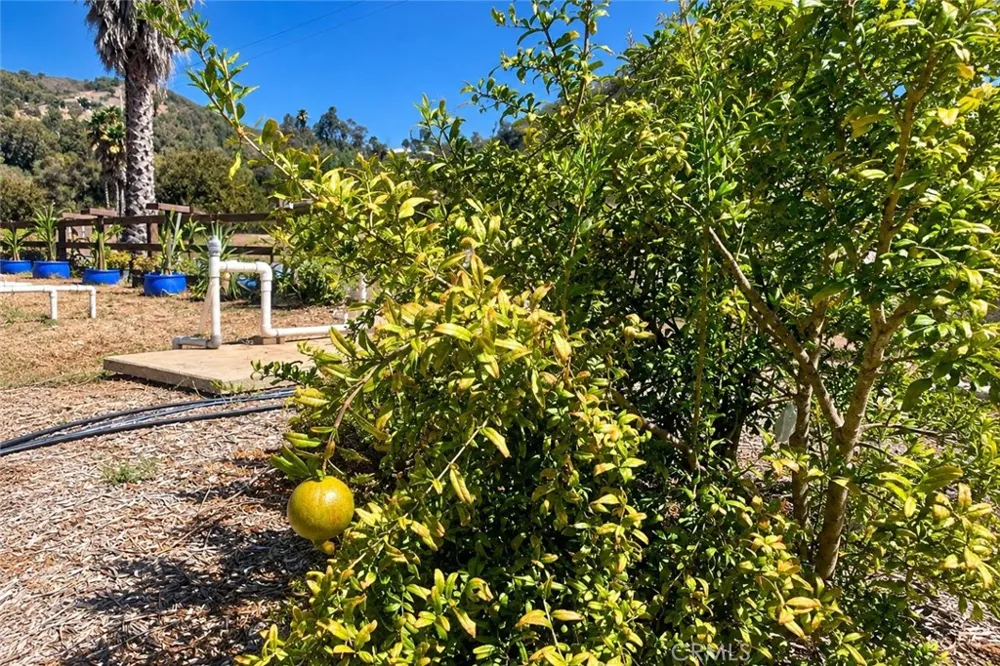 Via Vaquero Temecula, CA 92590