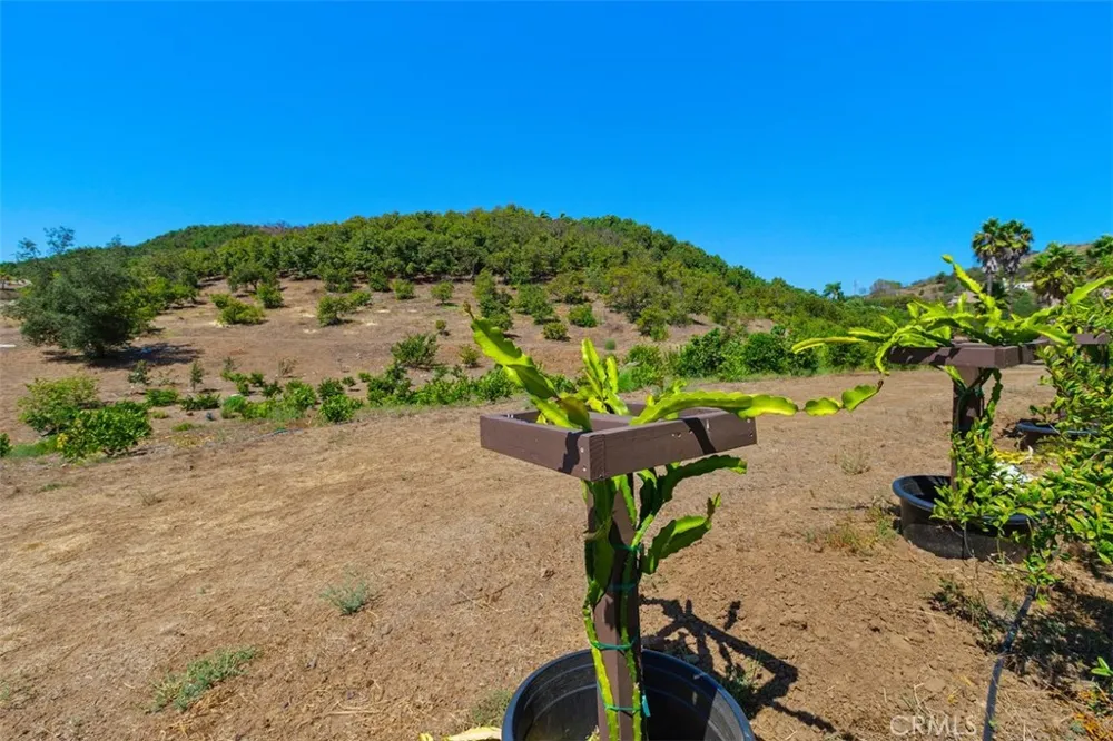 Via Vaquero Temecula, CA 92590