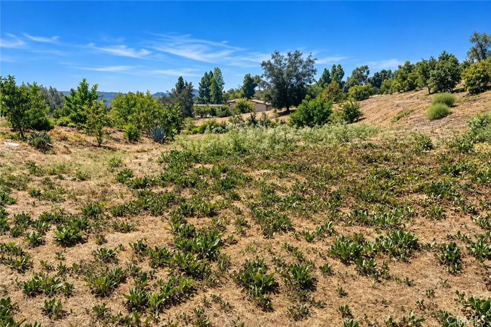 Via Vaquero Temecula, CA 92590