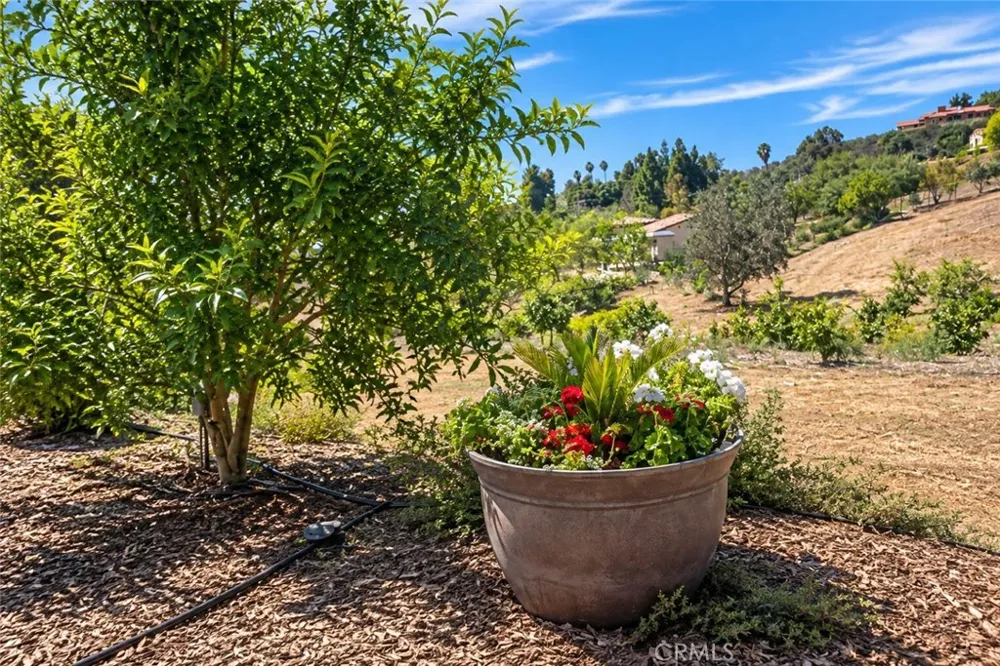 Via Vaquero Temecula, CA 92590