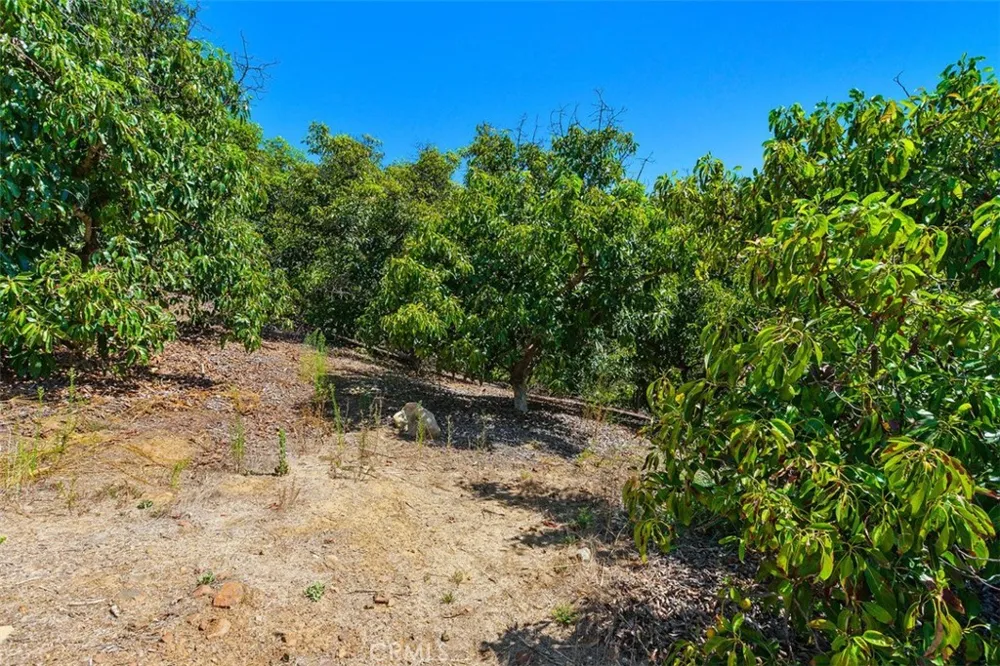 Via Vaquero Temecula, CA 92590