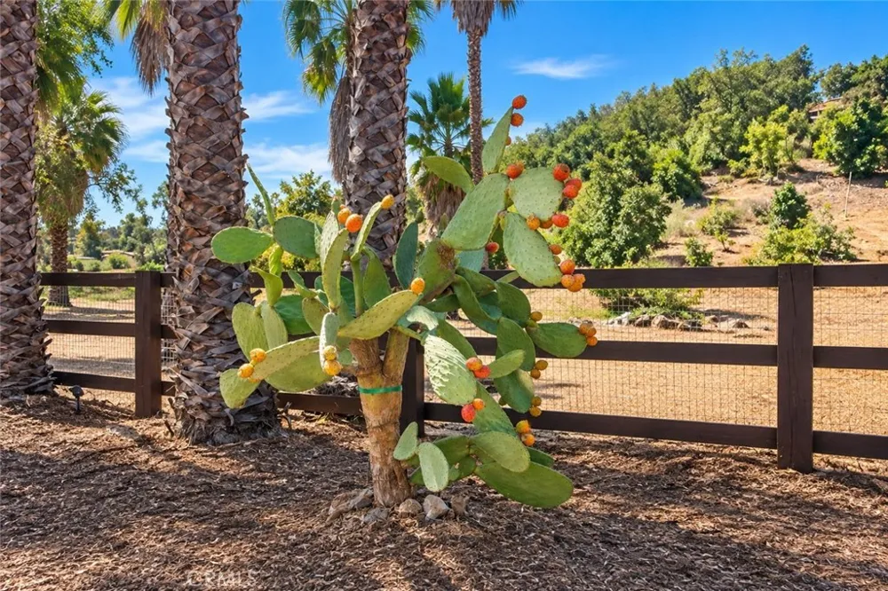 Via Vaquero Temecula, CA 92590