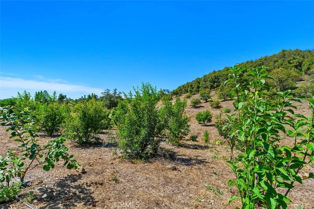 Via Vaquero Temecula, CA 92590