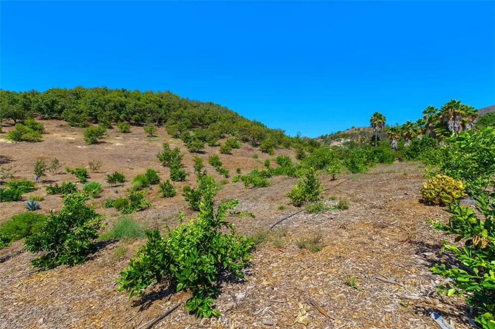 Via Vaquero Temecula, CA 92590
