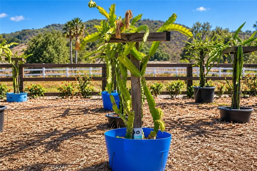 Via Vaquero Temecula, CA 92590