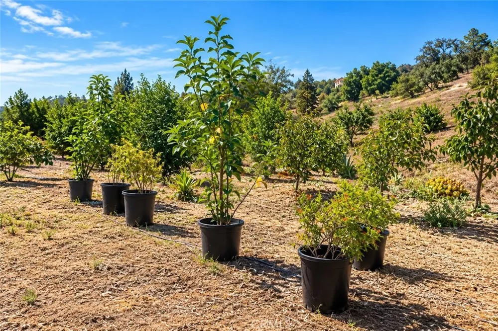 Via Vaquero Temecula, CA 92590
