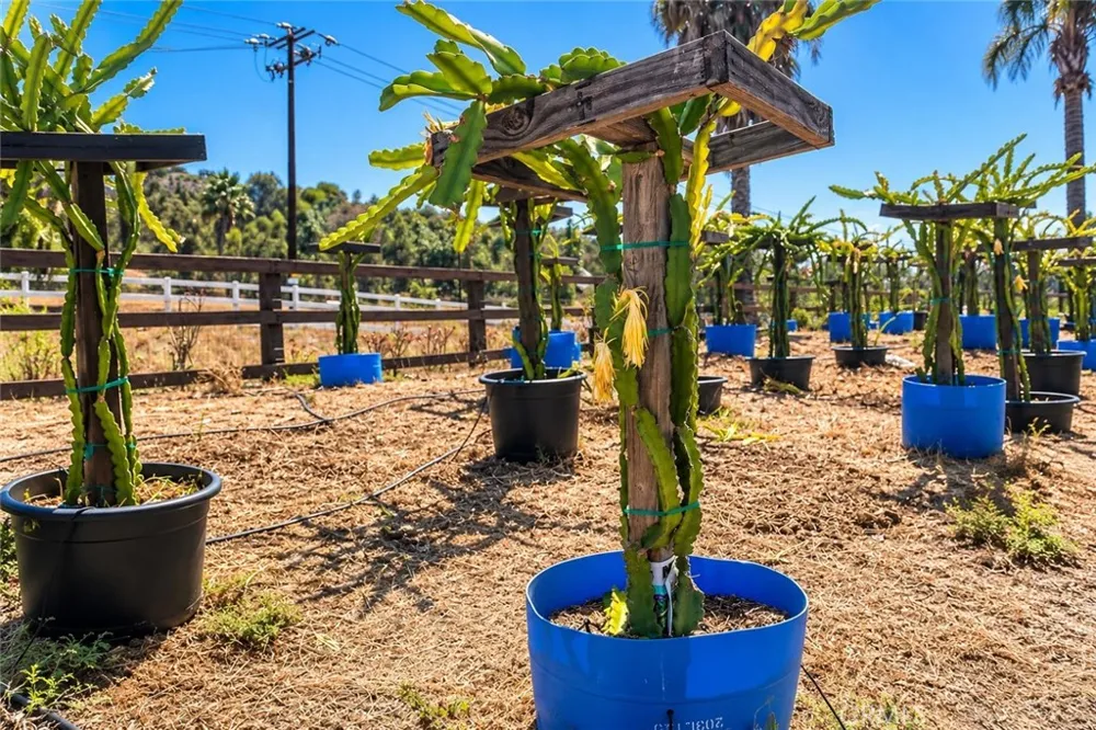 Via Vaquero Temecula, CA 92590