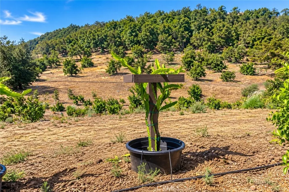 Via Vaquero Temecula, CA 92590