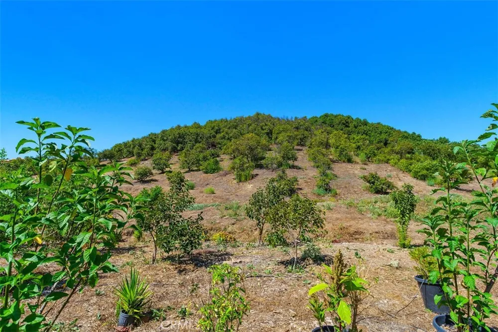 Via Vaquero Temecula, CA 92590