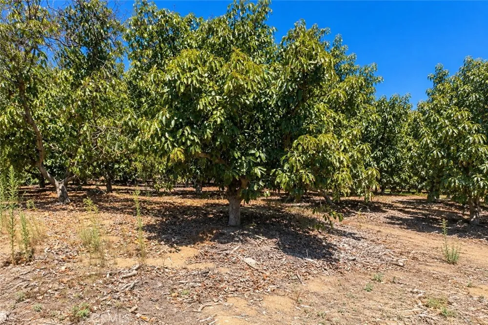 Via Vaquero Temecula, CA 92590