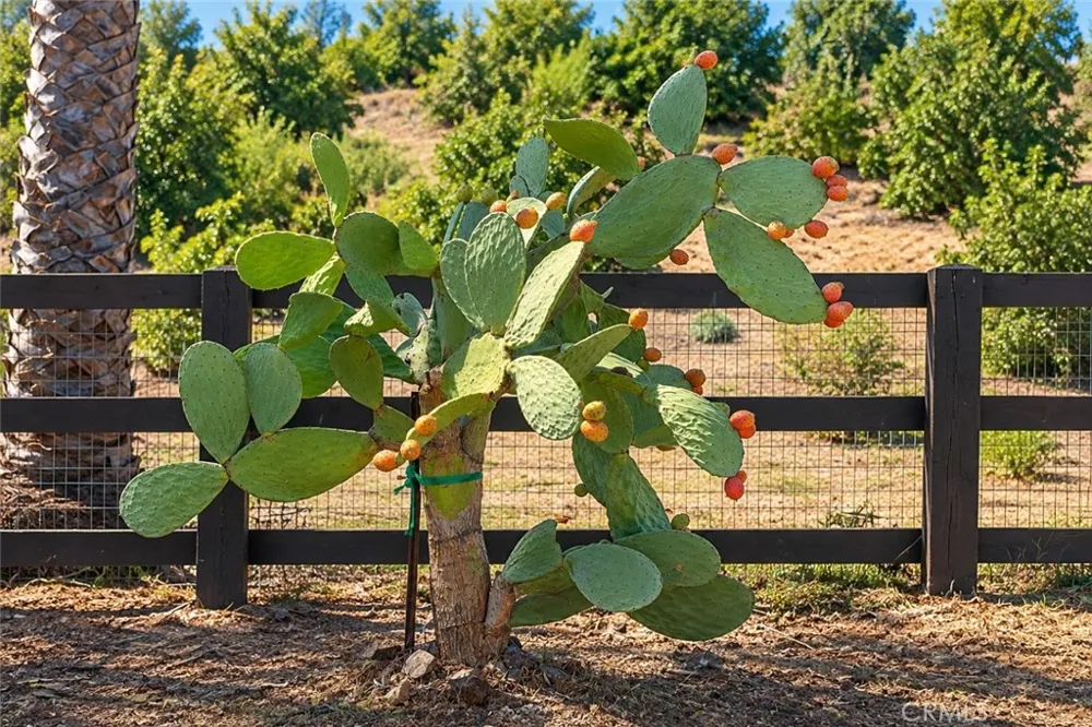 Via Vaquero Temecula, CA 92590