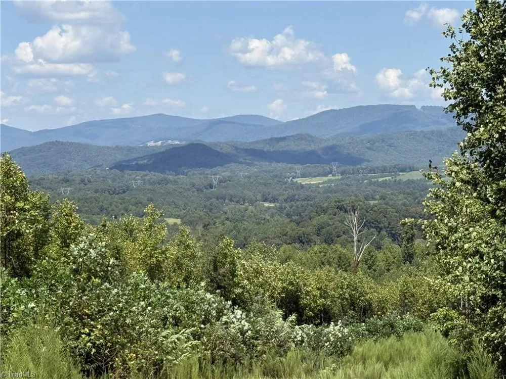 Off Bauguess Mill Road Traphill, NC 28685