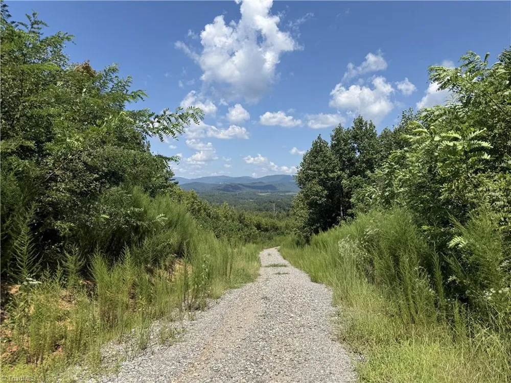 Off Bauguess Mill Road Traphill, NC 28685