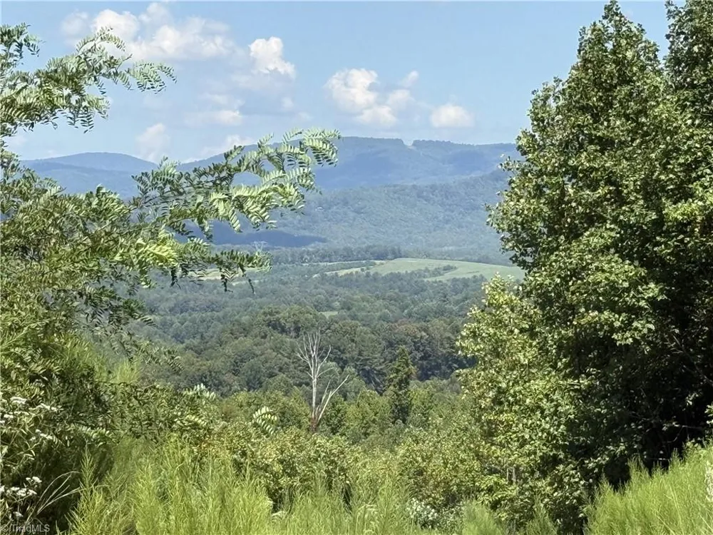 Off Bauguess Mill Road Traphill, NC 28685