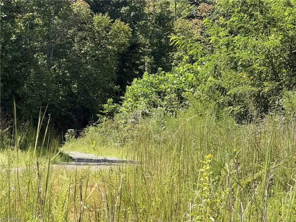 Off Bauguess Mill Road Traphill, NC 28685