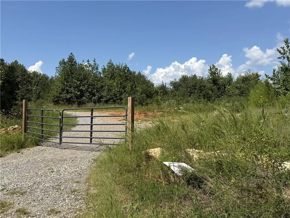 Off Bauguess Mill Road Traphill, NC 28685
