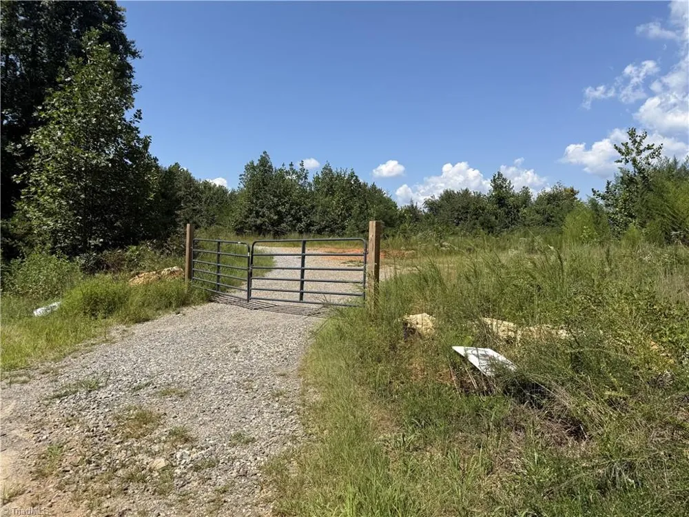 Off Bauguess Mill Road Traphill, NC 28685