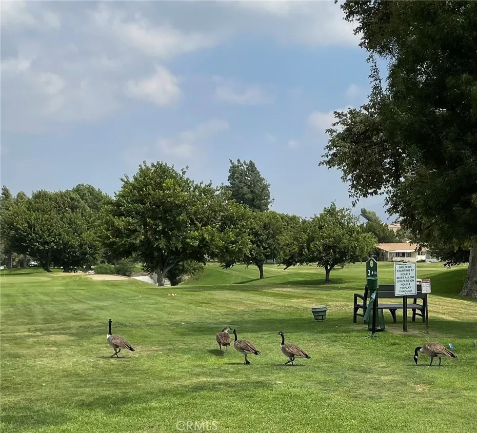 26811 Oak Branch Circle Newhall, CA 91321