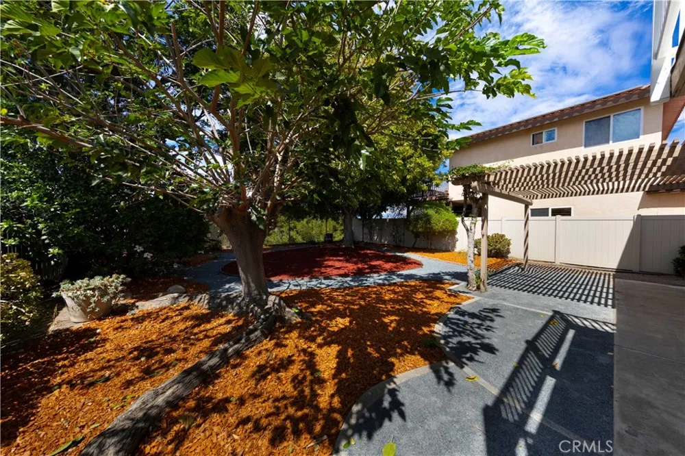 23401 Via Burriana Mission Viejo, CA 92691