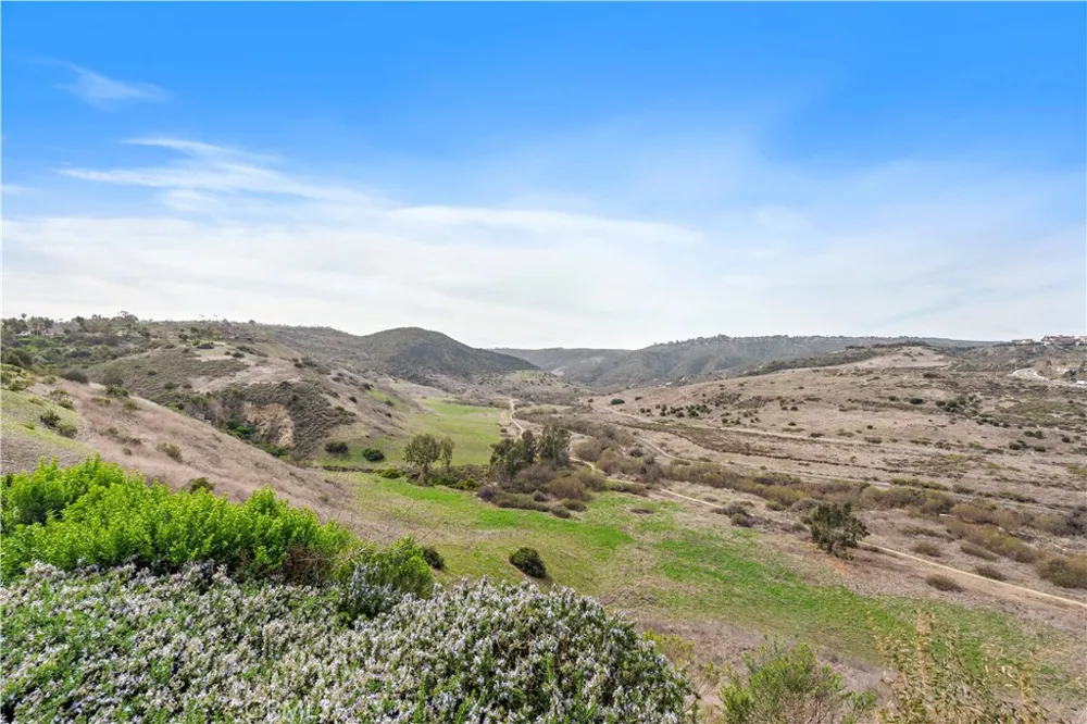 23611 Trinidad Lane Laguna Niguel, CA 92677