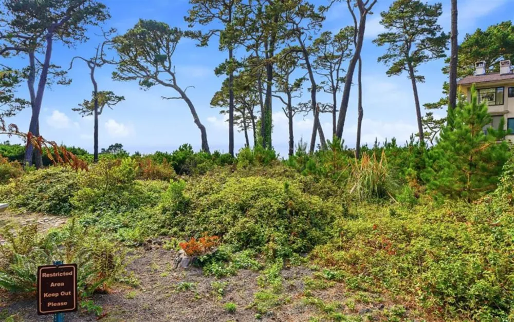 80 Ocean Pines Lane Pebble Beach, CA 93953