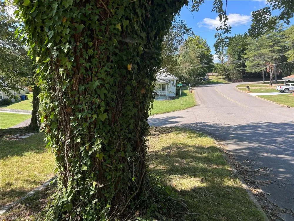 TBD Linville Road Mount Airy, NC 27030