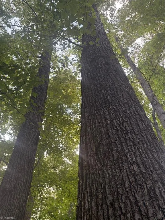 Lot 5 Edgewood Road Wilkesboro, NC 28697