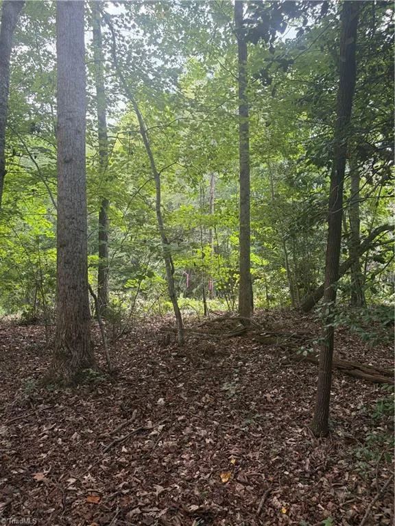 Lot 5 Edgewood Road Wilkesboro, NC 28697
