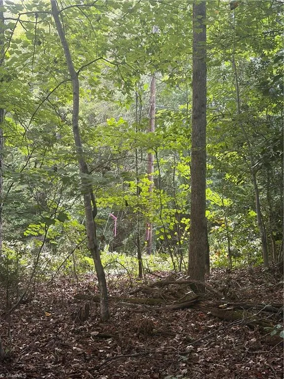 Lot 5 Edgewood Road Wilkesboro, NC 28697