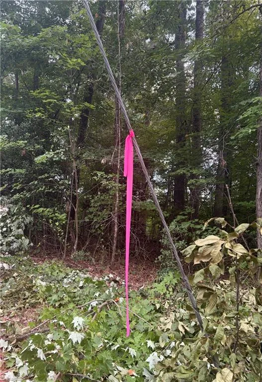 Lot 5 Edgewood Road Wilkesboro, NC 28697
