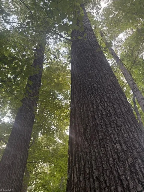 Lot 3 Edgewood Road