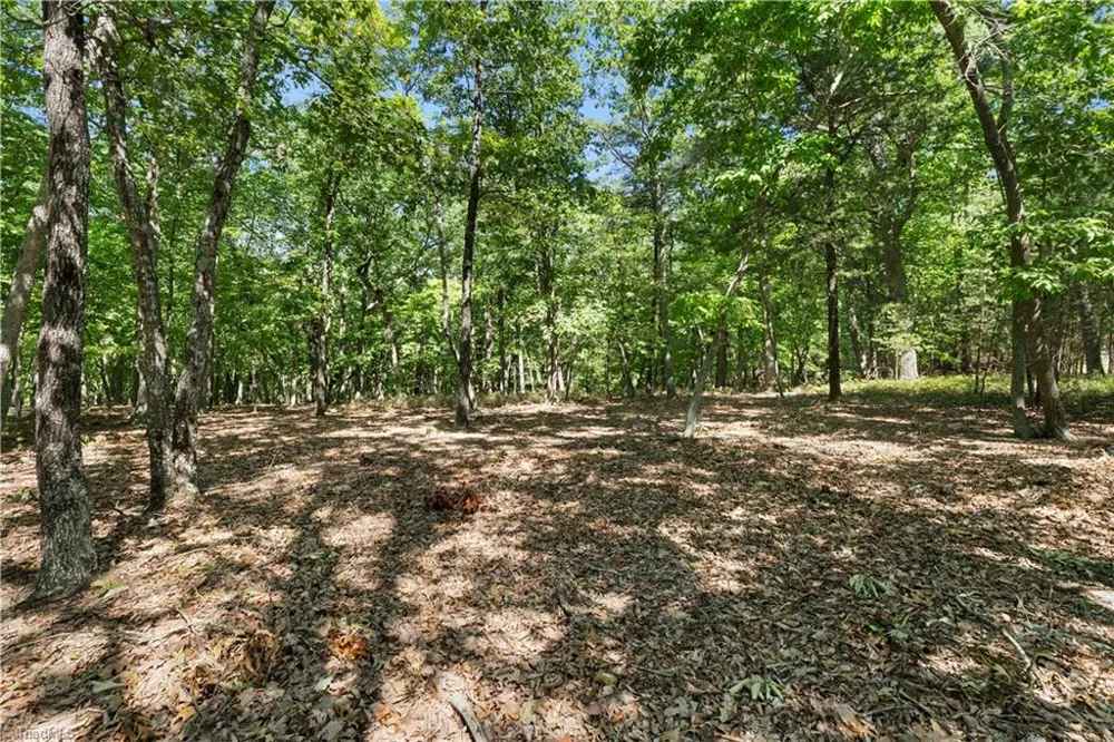 686 Palisade Trail Denton, NC 27239
