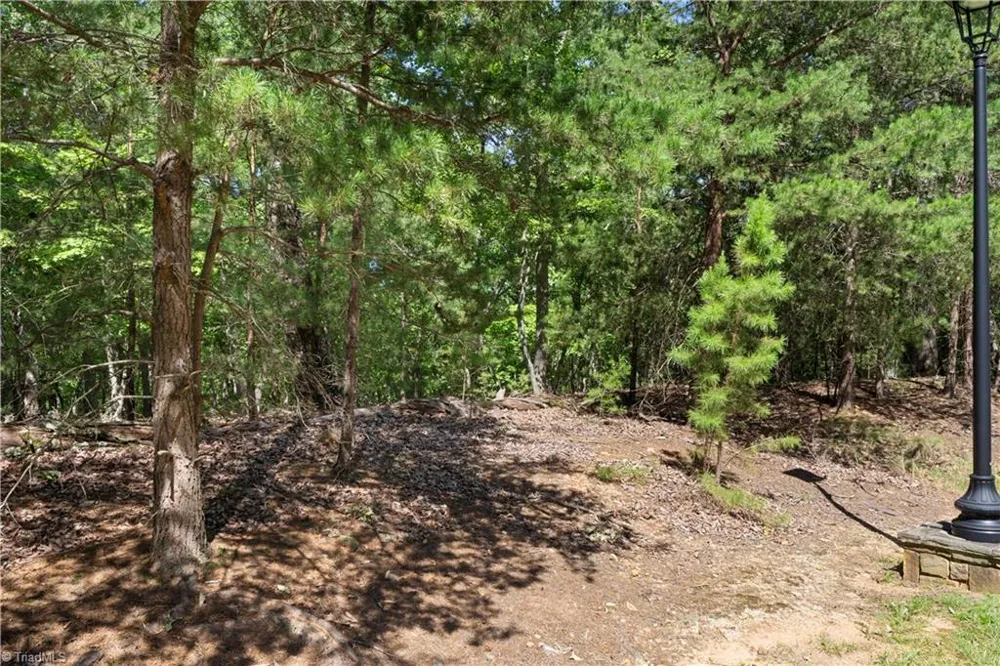 686 Palisade Trail Denton, NC 27239