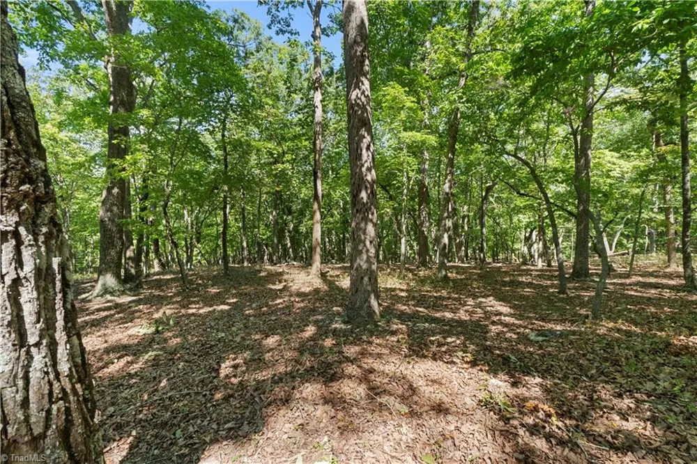 686 Palisade Trail Denton, NC 27239