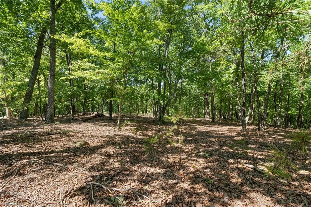 686 Palisade Trail Denton, NC 27239