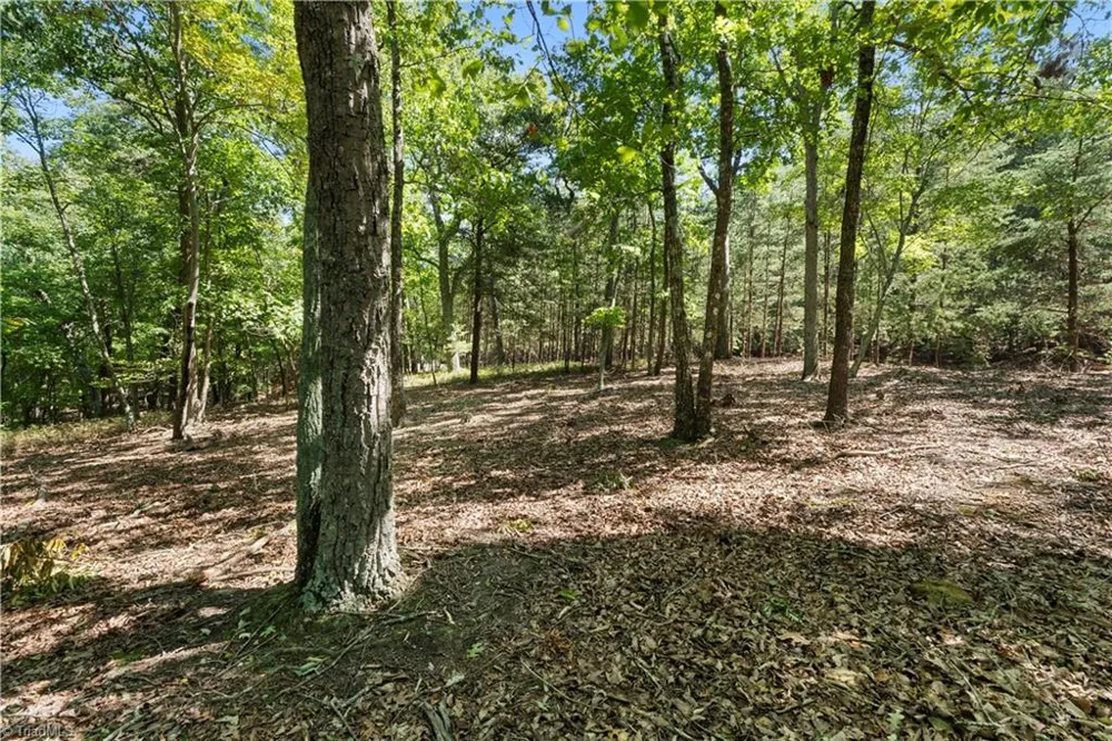 686 Palisade Trail Denton, NC 27239