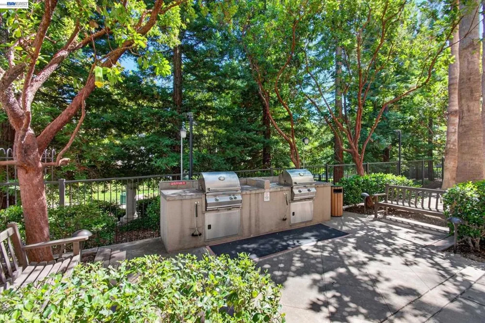 1315 Alma Ave #311 Walnut Creek, CA 94596