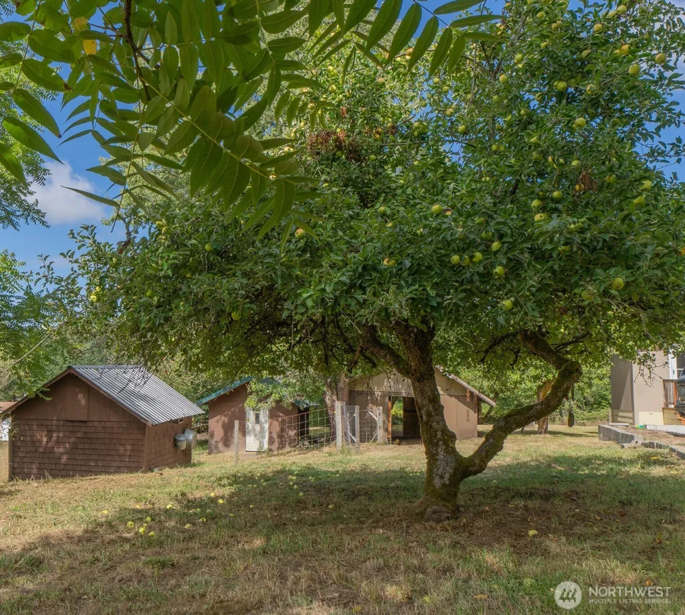 393 Manners Road Rochester, WA 98579