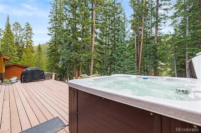 53 Rena Road Breckenridge, CO 80424