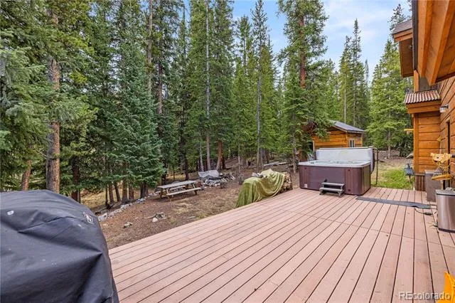 53 Rena Road Breckenridge, CO 80424