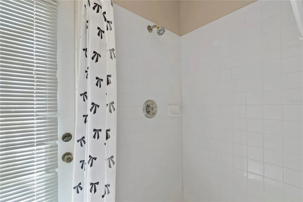 17715 HAMPSHIRE OAK DRIVE Tampa, FL 33647