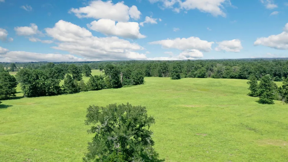 6464 County Road 146 Bedias, TX 77831