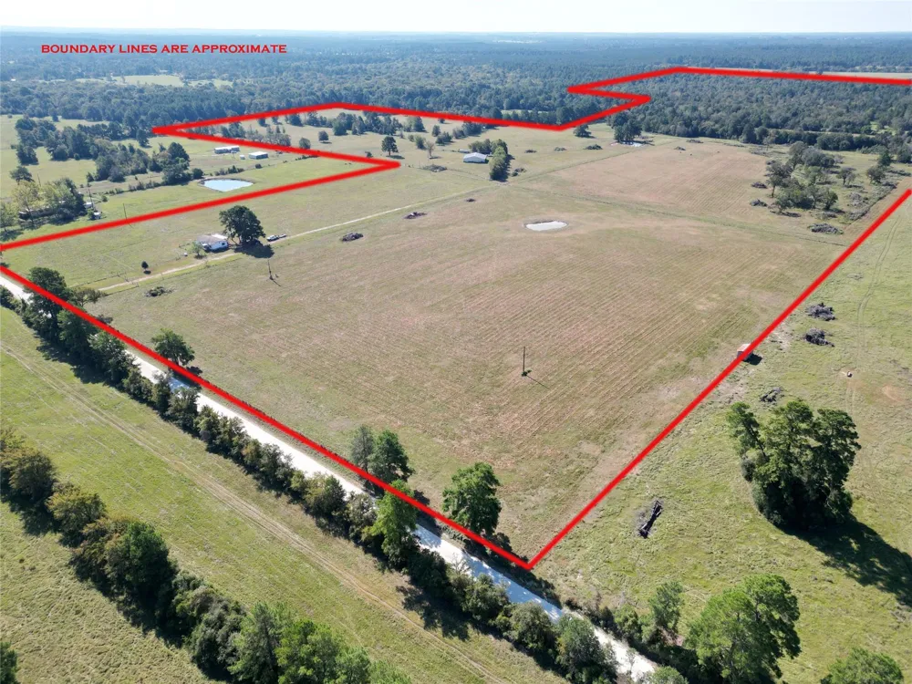 6464 County Road 146 Bedias, TX 77831