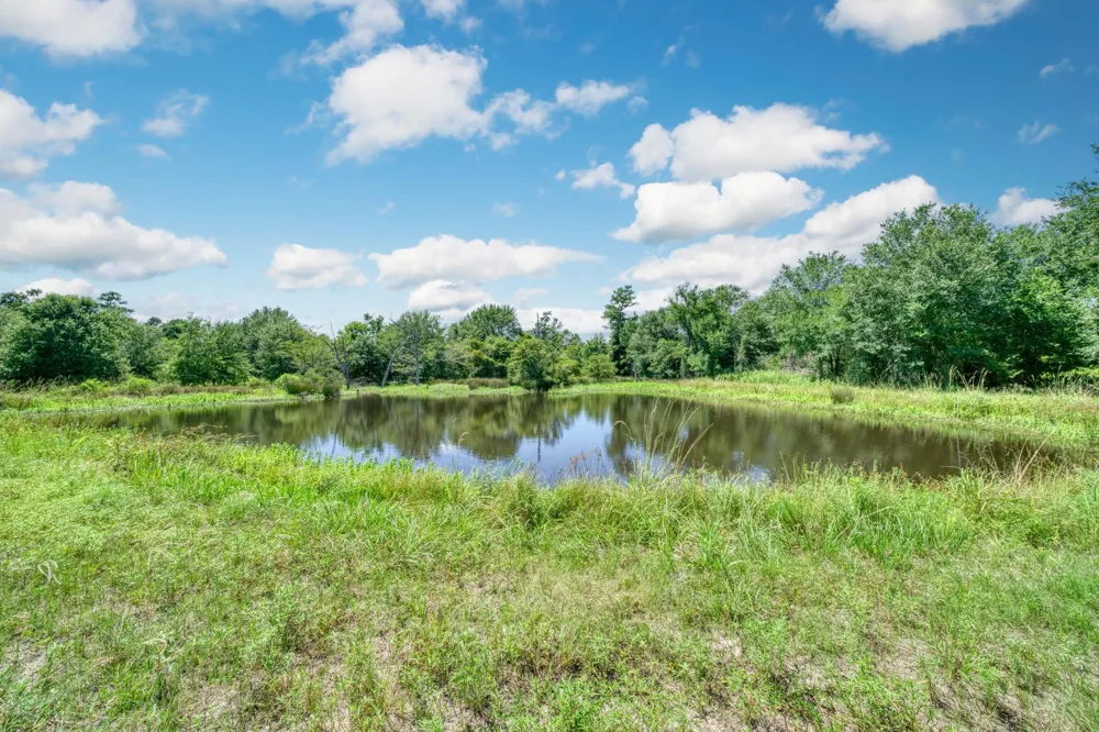 6464 County Road 146 Bedias, TX 77831