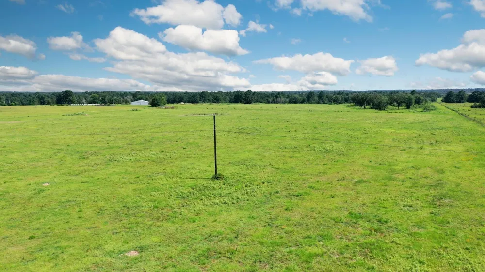 6464 County Road 146 Bedias, TX 77831