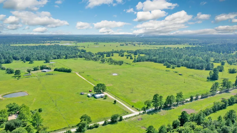 6464 County Road 146 Bedias, TX 77831
