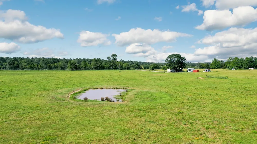 6464 County Road 146 Bedias, TX 77831