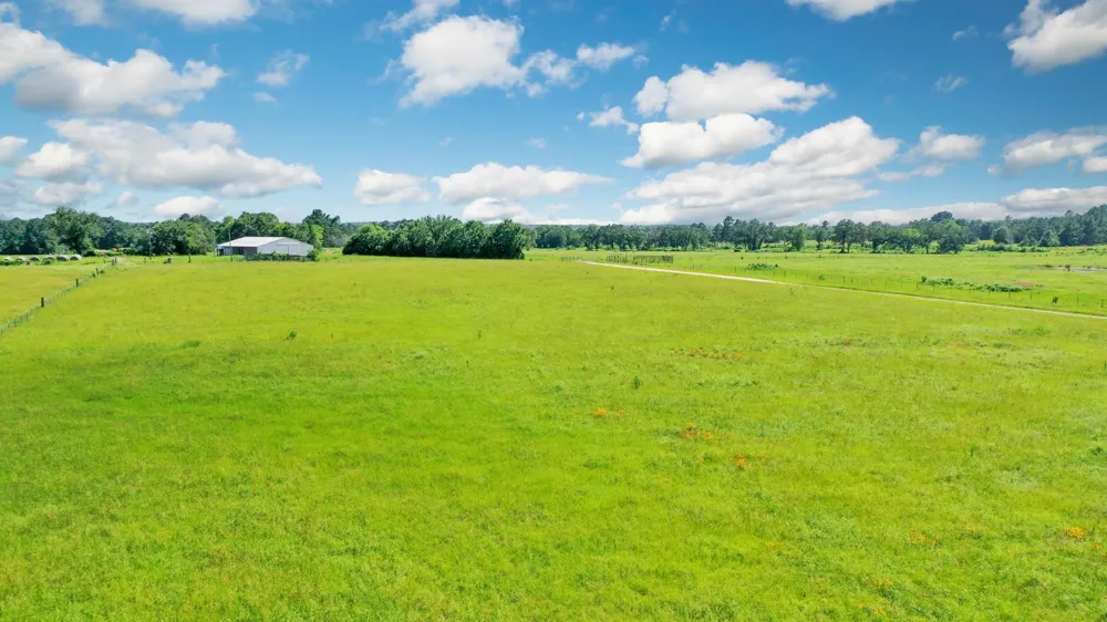 6464 County Road 146 Bedias, TX 77831