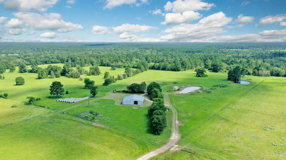 6464 County Road 146 Bedias, TX 77831